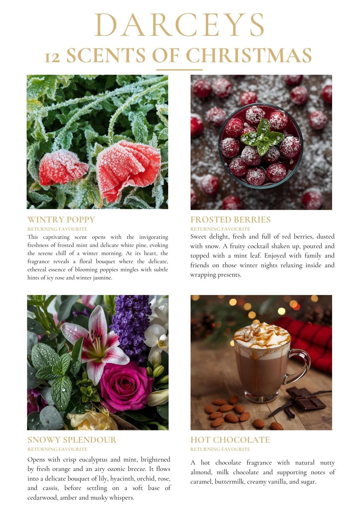 Christmas 2026 - Starter Kit