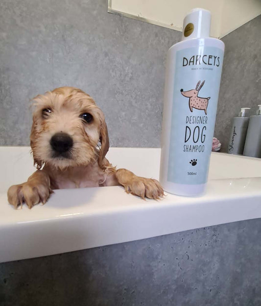 Mr Darcey Adventure Pet Shampoo